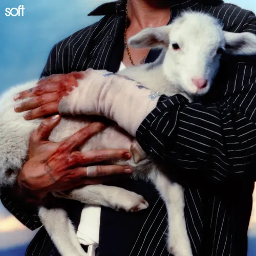 LANY - Soft vinyl record cover