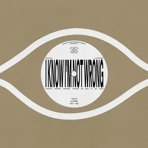 Sam Wilkes - 104.3 vinyl record cover