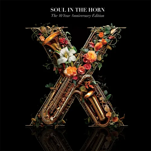 Soul In The Horn - The 10 Year Anniversary Deluxe Edition vinyl record cover