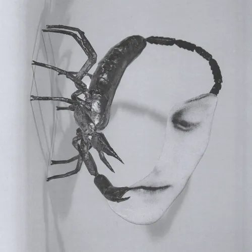 Tortoise - Touch vinyl record cover