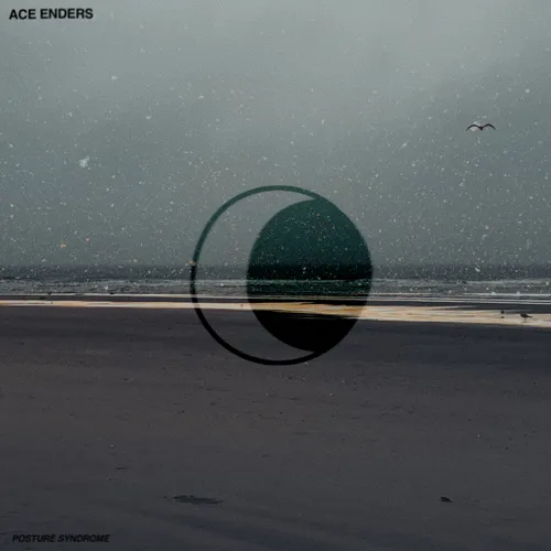 Ace Enders - Posture Syndrome vinyl record cover