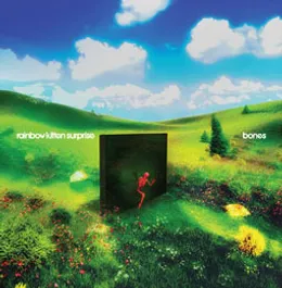 Rainbow Kitten Surprise