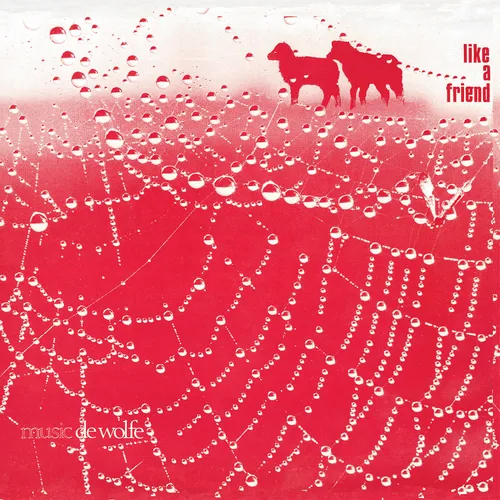 Roger Webb - Like A Friend vinyl record cover