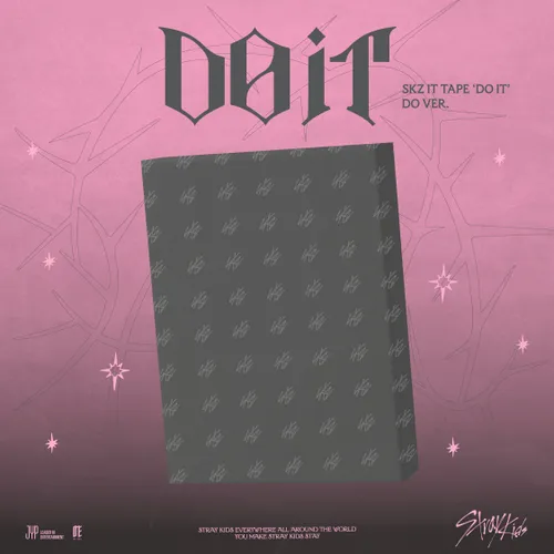 Stray Kids - SKZ IT TAPE 'DO IT' vinyl record cover