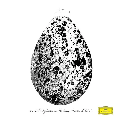 Snorri Hallgrmmsson - The Importance Of Birds EP vinyl record cover