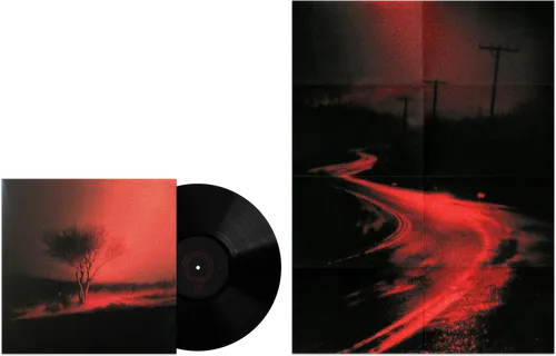 Joji - Piss In The Wind vinyl record cover