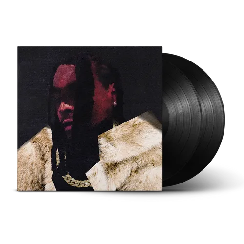 Wale - everything is a lot. vinyl record cover