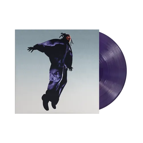 Mavi - The Pilot vinyl record cover
