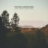 Lost Cause Lover Fool