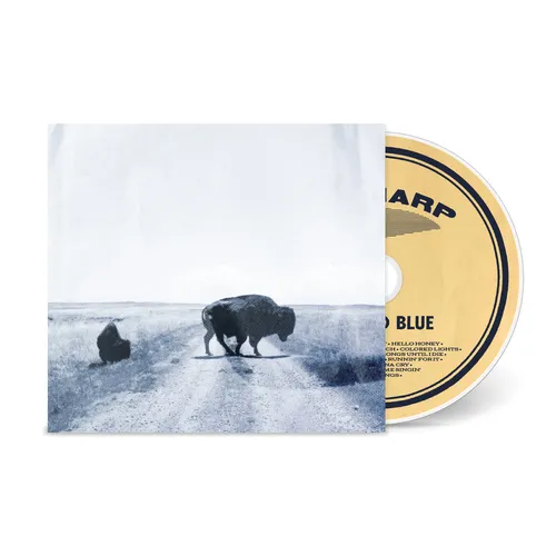 Big Harp - Runs To Blue vinyl record cover