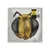 Big Fig Wasp (Rsd)