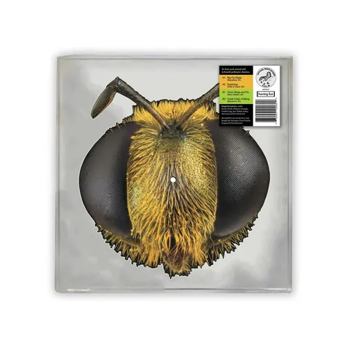 King Gizzard & The Lizard Wizard - Big Fig Wasp (Rsd) vinyl record cover