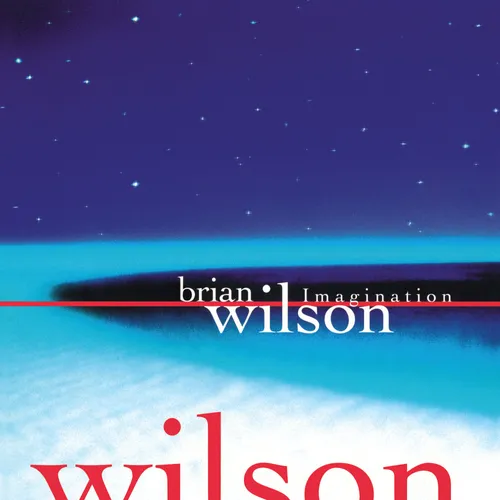 Brian Wilson - Imagination vinyl record cover