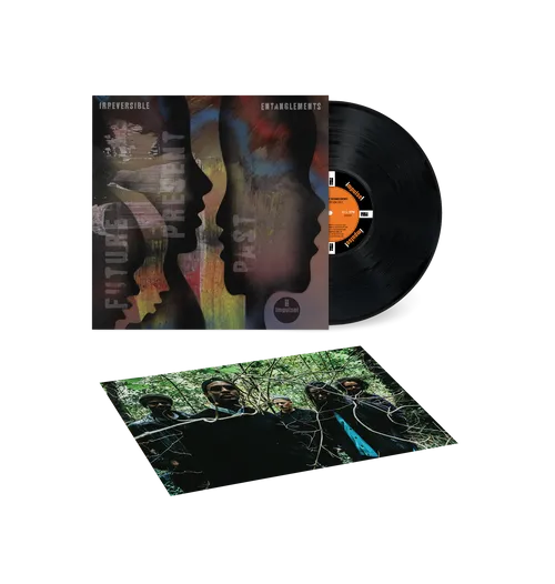Irreversible Entanglements - Future Present Past vinyl record cover