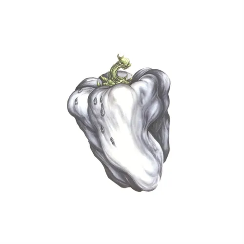 Ween - White Pepper vinyl record cover