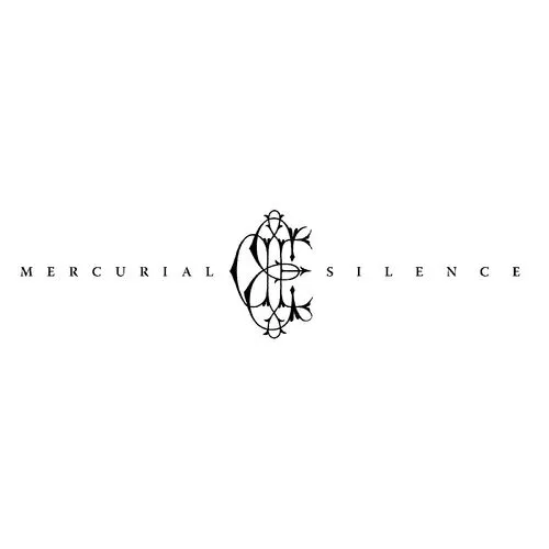 David Edwards  Eugene - Mercurial Silence vinyl record cover