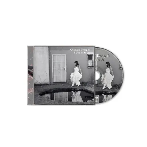 Crossing I's Dotting T's - I Used To Be vinyl record cover