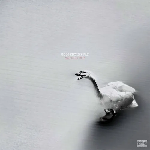 Goosebytheway - Nature Boy vinyl record cover