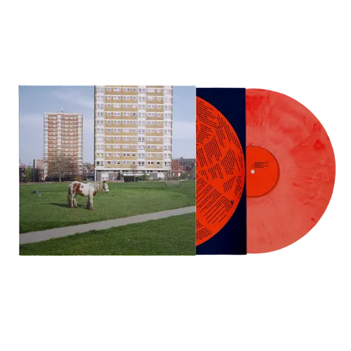 Westside Cowboy - It Goes On vinyl record cover