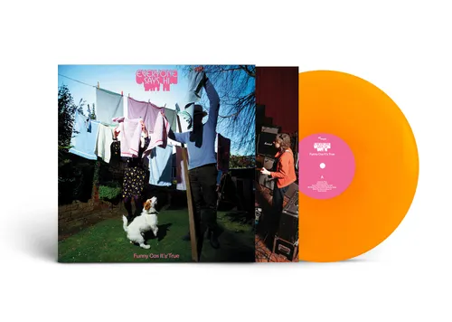 Everyone Says Hi - Funny Cos It's True vinyl record cover