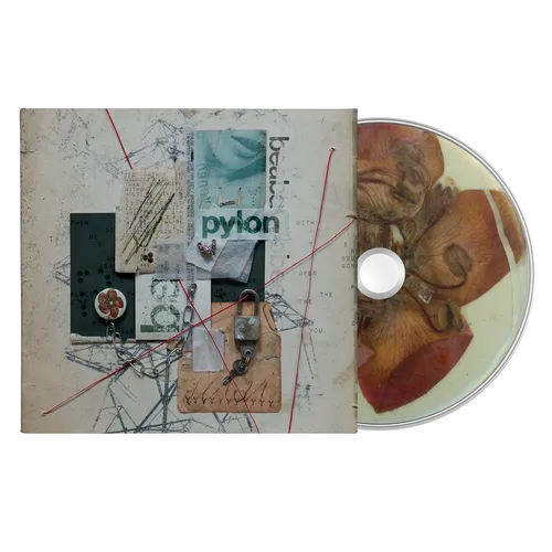 beabadoobee - Pylon vinyl record cover