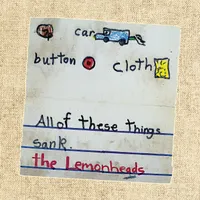 Car Button Cloth - 30th Anniversary Edition