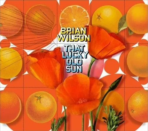 Brian Wilson - That Lucky Old Sun vinyl record cover