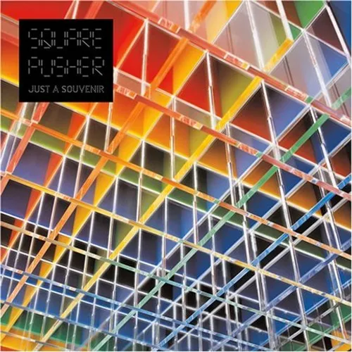 Squarepusher - Just A Souvenir vinyl record cover