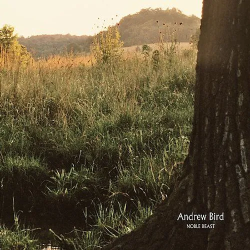 Andrew Bird - Noble Beast vinyl record cover