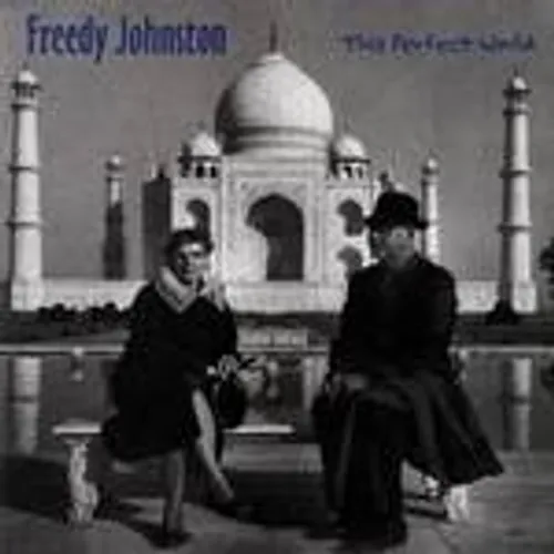 Freedy Johnston - This Perfect World vinyl record cover