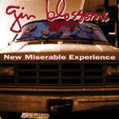 Gin Blossoms - New Miserable Experience vinyl record cover