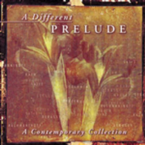 Artist - A Different Prelude vinyl record cover