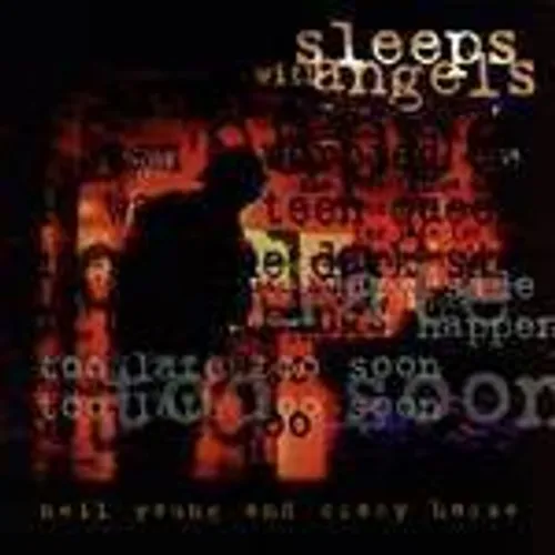 Neil Young - Sleeps with Angels vinyl record cover