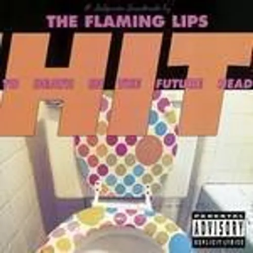 The Flaming Lips - Hit To Death In The Future Head vinyl record cover