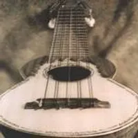 Ronroco