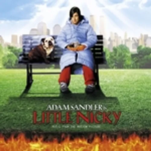 Artist - Little Nicky vinyl record cover
