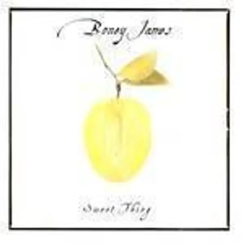 Boney James - Sweet Thing vinyl record cover