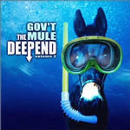 Gov't Mule - Deep End 2 vinyl record cover