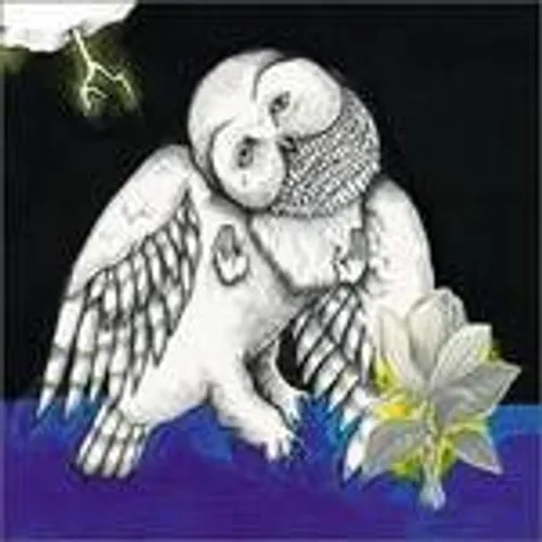Songs: Ohia - Magnolia Electric Co vinyl record cover