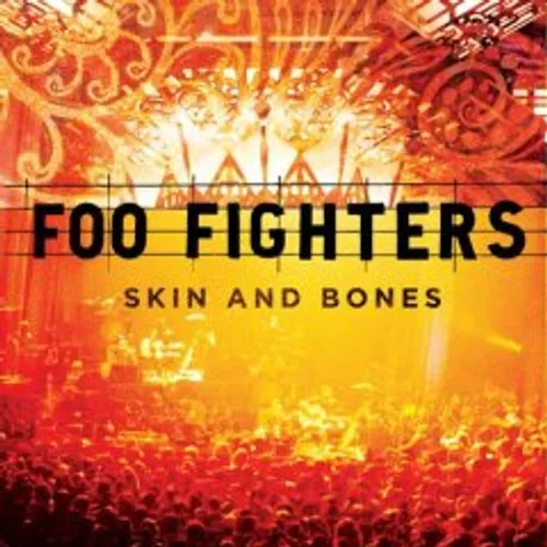 Foo Fighters - Skin and Bones vinyl record cover